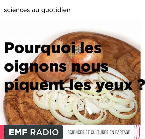 Pourquoi L Ananas Pique La Langue Pourquoi les oignons nous piquent les yeux quand on les coupe